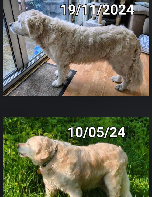 Skye-weight-loss.png Skye-weight-loss.png