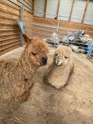 643725185_1448923710578276_853029678900571654_n.jpg 643725185_1448923710578276_853029678900571654_n.jpg