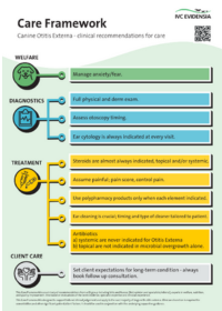careframework-(1).png careframework-(1).png